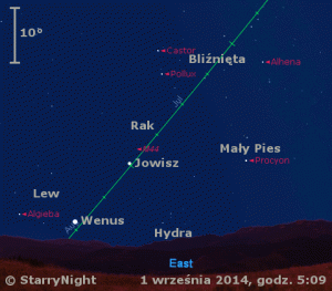 Animacja pokazuje położenie Wenus i Jowisza w pierwszym tygodniu września 2014 roku.gif