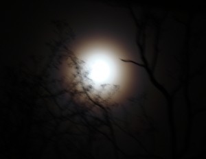 księżyc.jpg