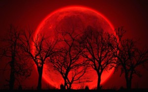 Księżyc mieni się krwistą czerwienią. Dlaczego.jpg