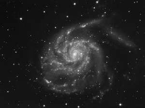 M101_2.jpg