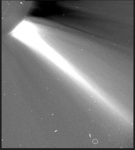 Aleksandra Sufa pierwszą polską odkrywczynią komety.jpg