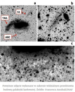 Żarłoczna pchła w rodzinie galaktyk3.jpg