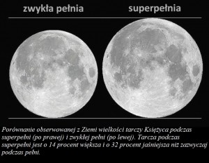 Księżyc nie był tak blisko Ziemi od 68 lat2.jpg