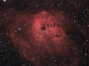 IC 410 www.jpg