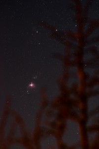 Orion Koszęcin jpg.jpg