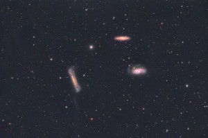 Leo Triplet dwernik 2024.jpg