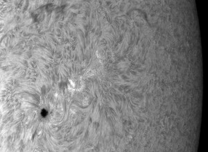 Ha-Sonne1_31_07_2010.jpg