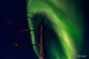 Fot. Timo Veijalainen, Sodankylä w Finlandii..jpg