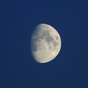 Księżyc in blue_ED80pf_50%.jpg