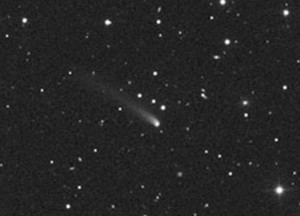 Comet-Siding-Spring-Dec-30-Rolando-Ligustri.jpg